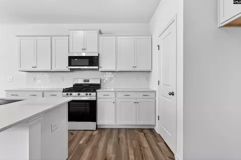 Entry Way - 798 Ben Gunn Run, Gilbert, SC 29054 photo 7 of 14