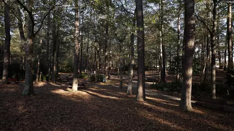 Other - 798 Ben Gunn Run, Gilbert, SC 29054 photo 9 of 9