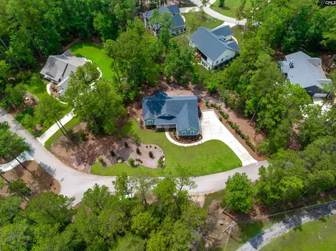 View/Area - 230 Mariners Way, Leesville, SC 29070 photo 8 of 10