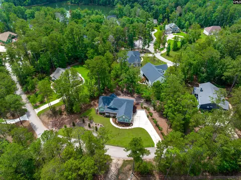 View/Area - 230 Mariners Way, Leesville, SC 29070 photo 9 of 10