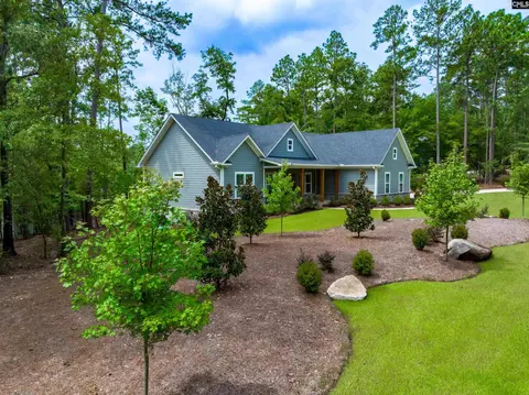 Exterior - 230 Mariners Way, Leesville, SC 29070 photo 17 of 18