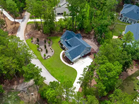 View/Area - 230 Mariners Way, Leesville, SC 29070 photo 4 of 10