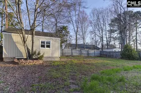 Exterior - 156 Firebridge Dr, Chapin, SC 29036 photo 4 of 5