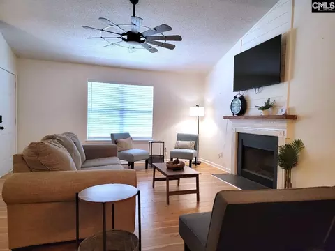 Other - 156 Firebridge Dr, Chapin, SC 29036 photo 2 of 11