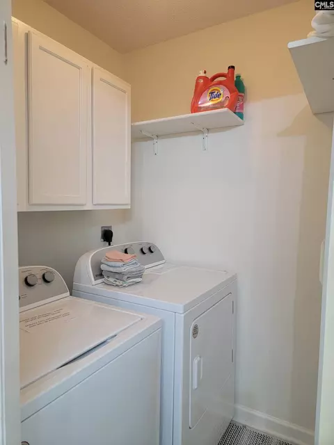 Other - 156 Firebridge Dr, Chapin, SC 29036 photo 6 of 11