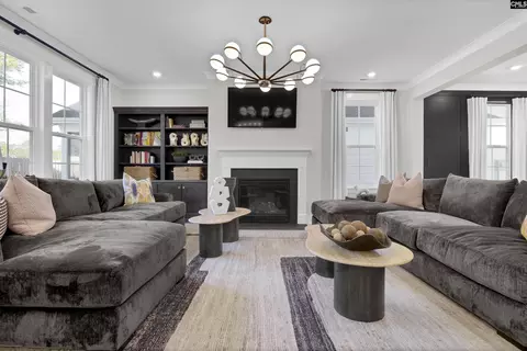 Living - 640 Falling Leaf Ln, Chapin, SC 29036 photo 1 of 2