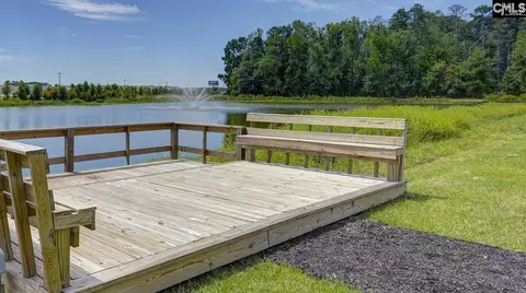 View/Area - 197 Ruby Prince Rd, Gilbert, SC 29054 photo 1 of 5