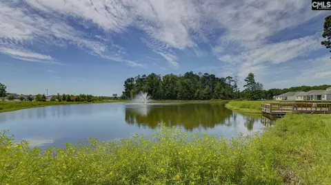 View/Area - 197 Ruby Prince Rd, Gilbert, SC 29054 photo 3 of 5