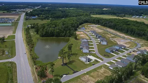View/Area - 197 Ruby Prince Rd, Gilbert, SC 29054 photo 2 of 5