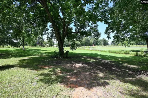 1409 Windmill Rd, Leesville, SC 29070 photo 27