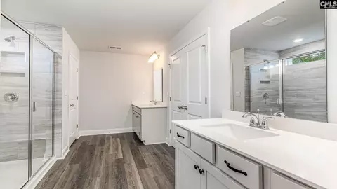 Bath - 626 Shining Sun Ct, Gilbert, SC 29054 photo 2 of 4