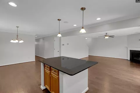 Other - 415 Easy Goer Ct, Elgin, SC 29045 photo 3 of 8