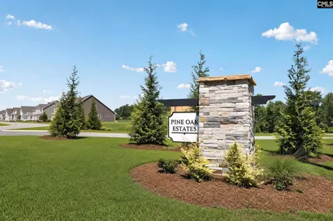 Other - 262 Foxglade Dr, Gilbert, SC 29054 photo 10 of 10