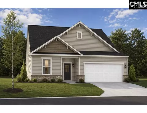 670 Griffon Dr, Chapin, SC 29036