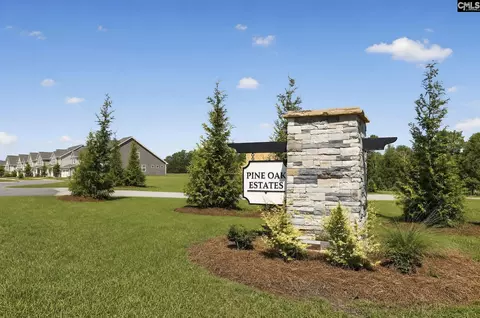 Other - 267 Foxglade Dr, Gilbert, SC 29054 photo 8 of 8