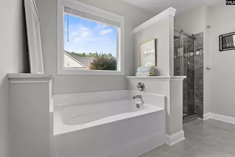 Bath - 429 Wentworth Way, Gilbert, SC 29054 photo 2 of 3