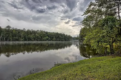View/Area - 463 Ridge Rd, Leesville, SC 29070 photo 1 of 3