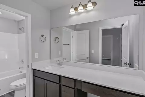Bath - 248 Boseman Rd, Irmo, SC 29063 photo 4 of 6