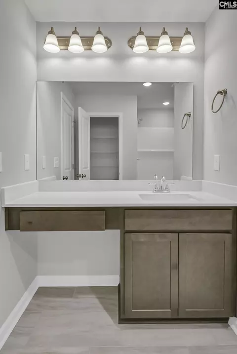 Bath - 248 Boseman Rd, Irmo, SC 29063 photo 3 of 6
