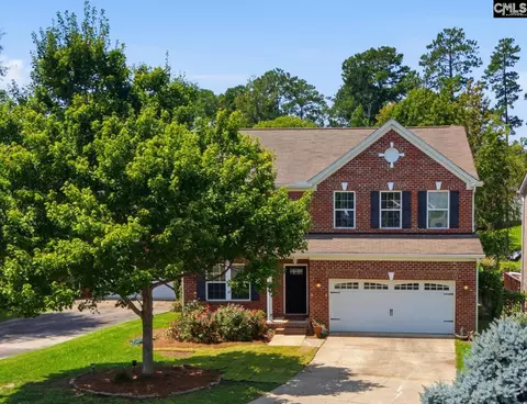 124 Palm St, Chapin, SC 29036