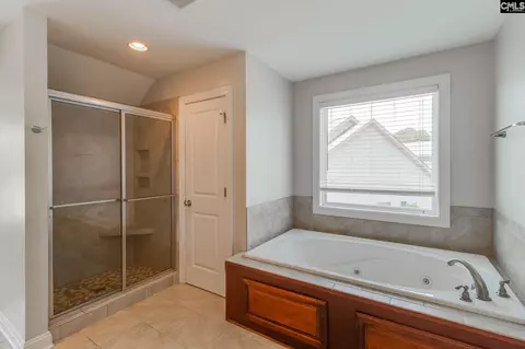 Bath - 64 Fork Branch Ct, Irmo, SC 29063 photo 3 of 7