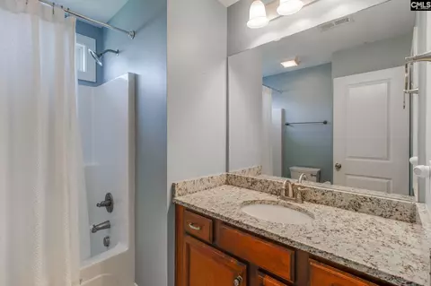 Bath - 64 Fork Branch Ct, Irmo, SC 29063 photo 4 of 7