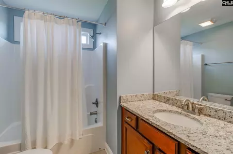 Bath - 64 Fork Branch Ct, Irmo, SC 29063 photo 5 of 7