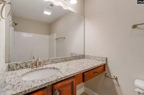 Bath - 64 Fork Branch Ct, Irmo, SC 29063 photo 6 of 7