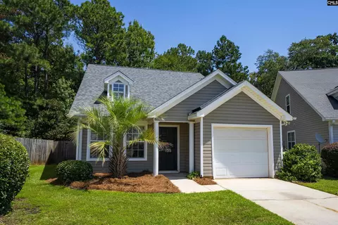 135 Merowey Ct, Chapin, SC 29036