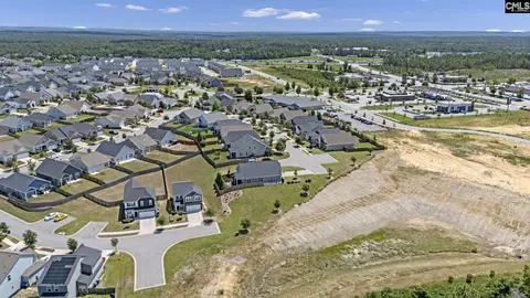 View/Area - 42 Attucks Ct, Elgin, SC 29045 photo 6 of 7
