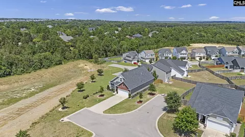 View/Area - 42 Attucks Ct, Elgin, SC 29045 photo 3 of 7