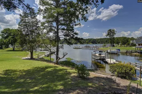 View/Area - 262 Breezy Bay Dr, Gilbert, SC 29054 photo 1 of 3