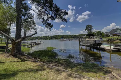 View/Area - 262 Breezy Bay Dr, Gilbert, SC 29054 photo 3 of 3