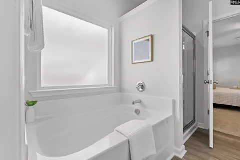 Bath - 754 Clementine Run, Gilbert, SC 29054 photo 1 of 3
