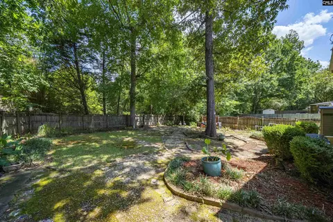 Exterior - 128 Firebridge Dr, Chapin, SC 29036 photo 5 of 5