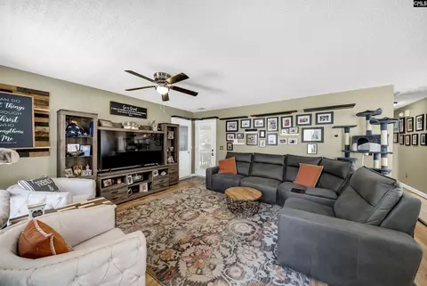Other - 128 Firebridge Dr, Chapin, SC 29036 photo 3 of 6