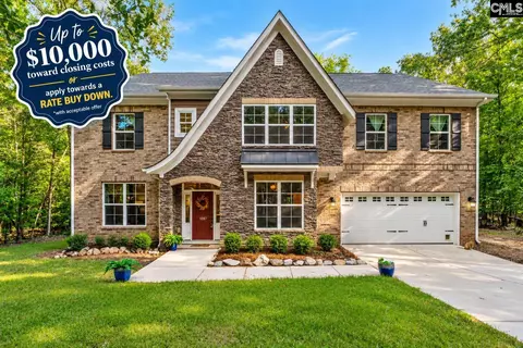 1287 Muddy Ford Rd, Chapin, SC 29036