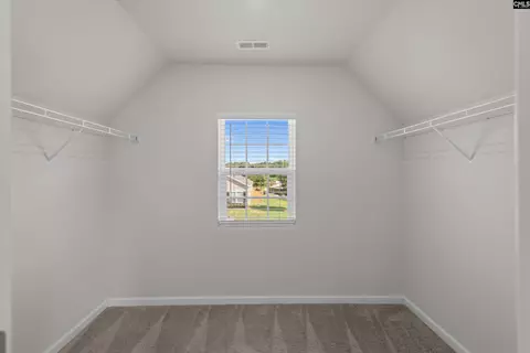 Other - 607 Wild Tulip Ct, Gilbert, SC 29054 photo 7 of 9