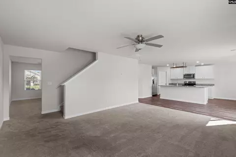 Other - 607 Wild Tulip Ct, Gilbert, SC 29054 photo 4 of 9