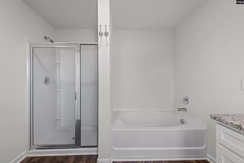 Bath - 607 Wild Tulip Ct, Gilbert, SC 29054 photo 2 of 3
