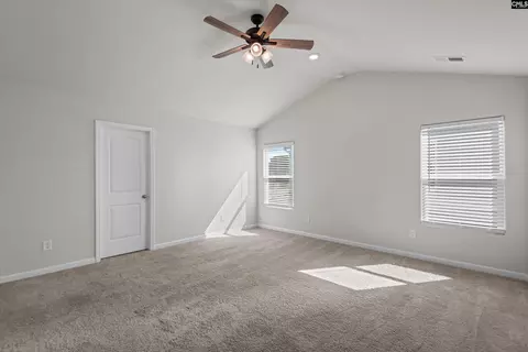 Other - 607 Wild Tulip Ct, Gilbert, SC 29054 photo 5 of 9