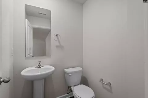 Other - 607 Wild Tulip Ct, Gilbert, SC 29054 photo 9 of 9