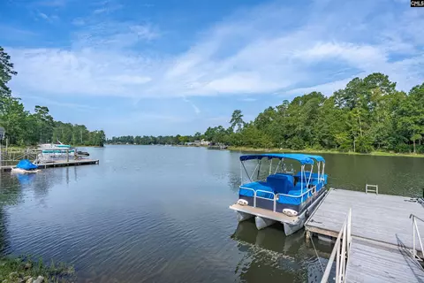 192 Palm St, Chapin, SC 29036