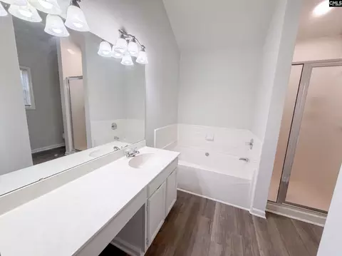 Bath - 21 Glenhawk Loop, Irmo, SC 29063 photo 1 of 2