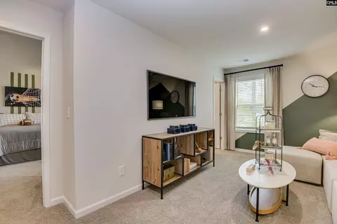 635 Griffon Dr, Chapin, SC 29036 photo 23