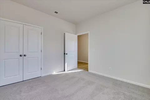 635 Griffon Dr, Chapin, SC 29036 photo 15