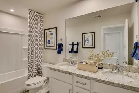Bath - 639 Griffon Dr, Chapin, SC 29036 photo 1 of 4