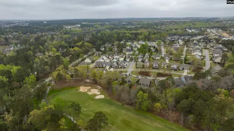 View/Area - 250 Thacher Loop, Elgin, SC 29045 photo 1 of 1