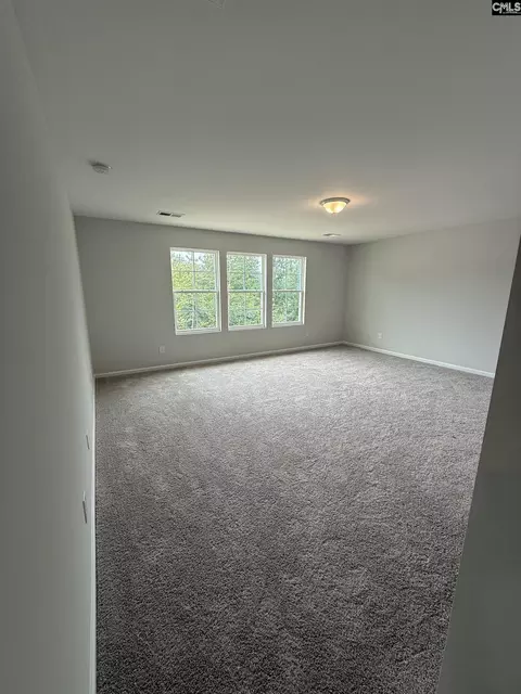 Other - 133 Pemberton Dr, Elgin, SC 29045 photo 6 of 10