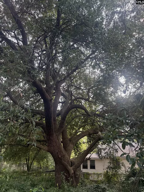 Exterior - 9 Middle St, Sumter, SC 29150 photo 1 of 5